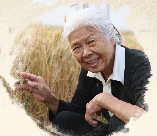白鹭 张斌3.JPG