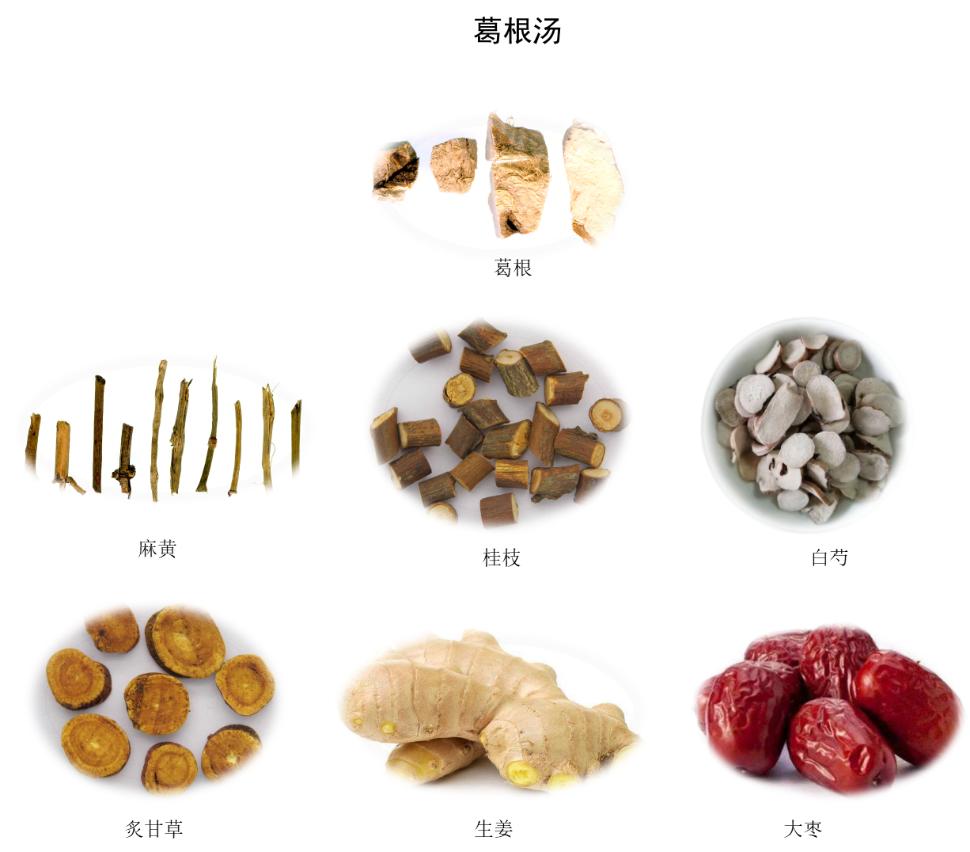 葛根汤2.jpg